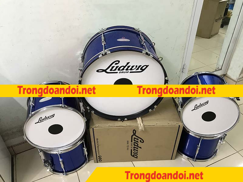 Trống đội Ludwig