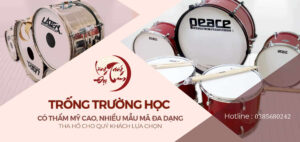 Trongdoandoi.net - Cơ sở bán trống trường tiểu học uy tín, chất lượng