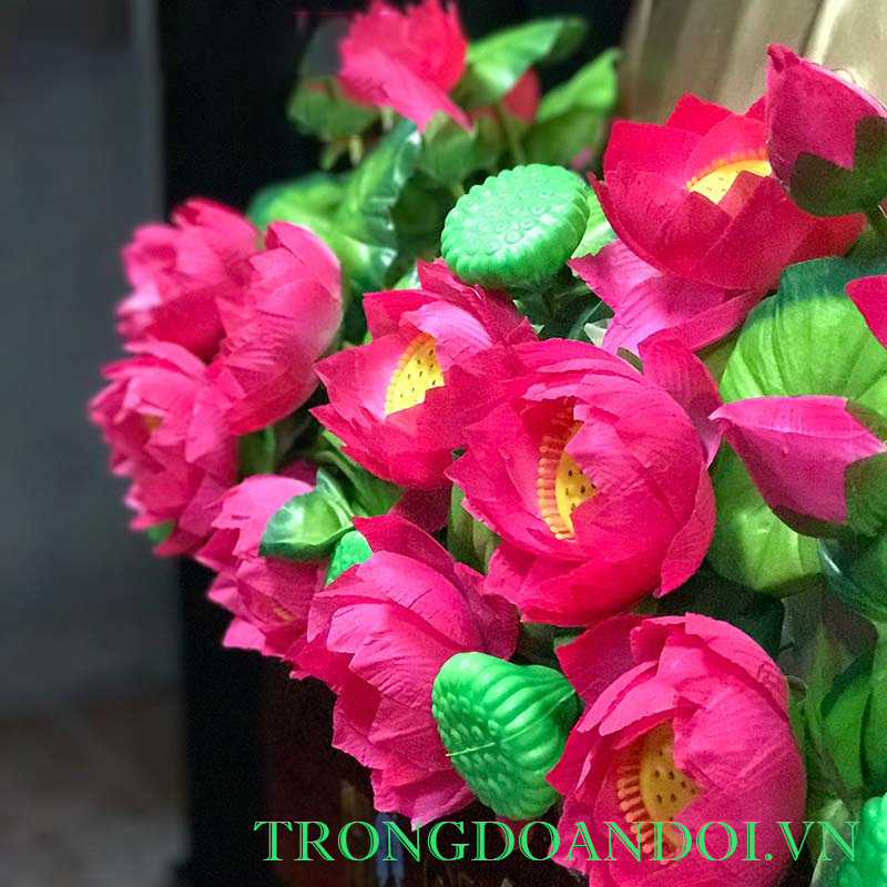 Hoa Sen Trang Trí Bục Tượng Bác Hồ